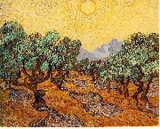 Vincent Van Gogh Olive Trees with Yellow Sky and Sun oil painting reproduction